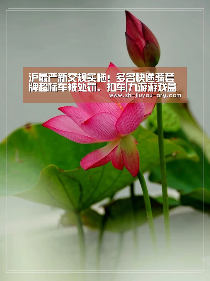 九游官网下载