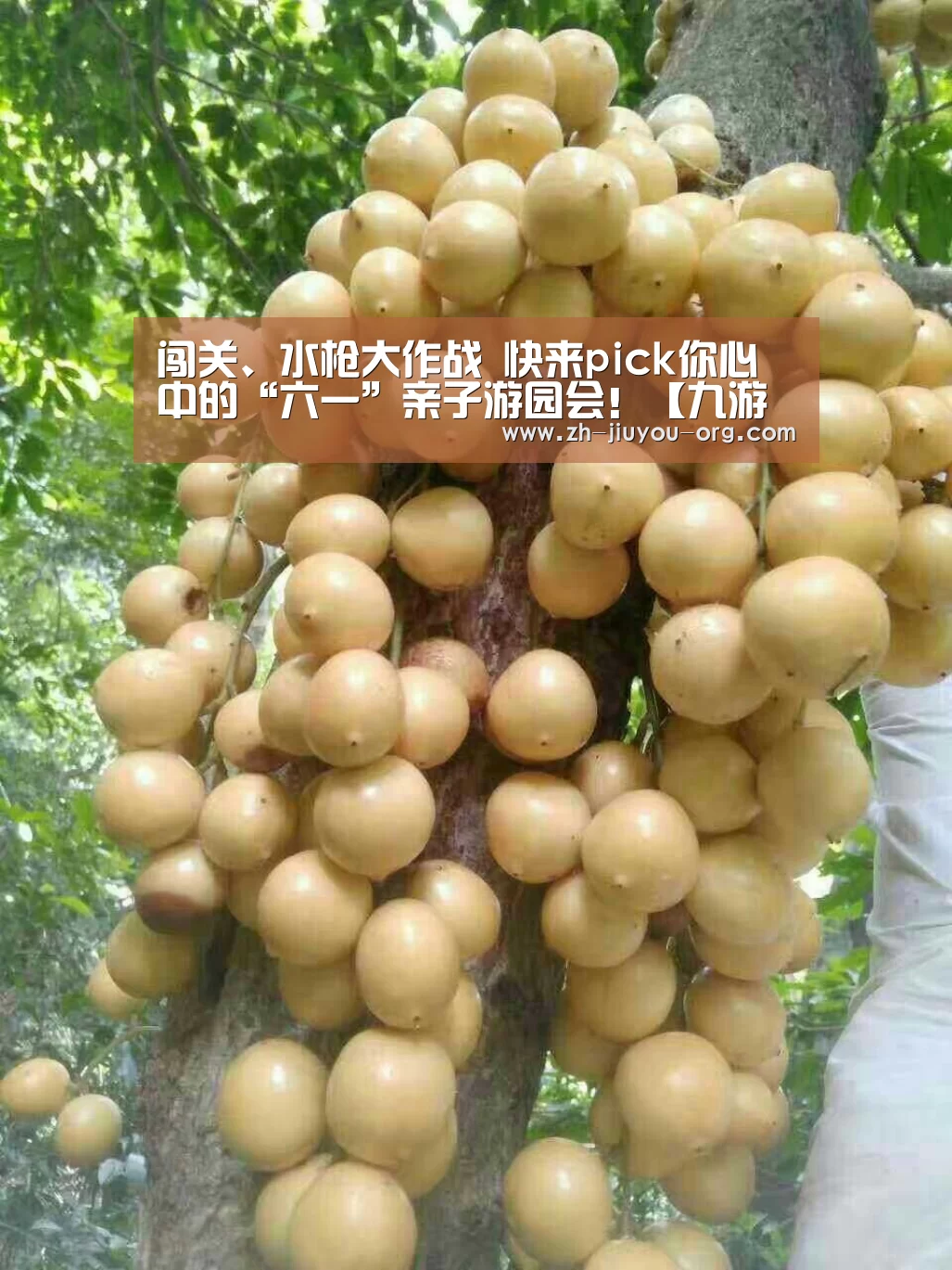 
闯关、水枪大作战 快来pick你心中的“六一”亲子游园会！【九游游戏盒子】(图3)